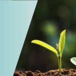 BEE star rating registration India mandatory products energy efficiency label